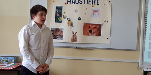 Uczeń przedstawia prezentację na temat: „Zwierzęta domowe”.