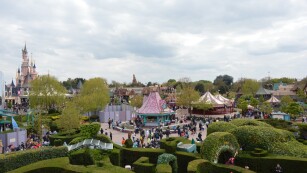 Atrakcje w Disneylandzie widziane przez uczestników wycieczki z Labiryntu Alicji w Krainie Czarów.